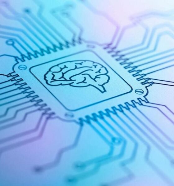 Segurança e Regulamentação