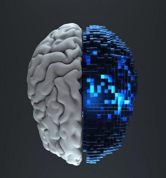 Segurança e Regulamentação